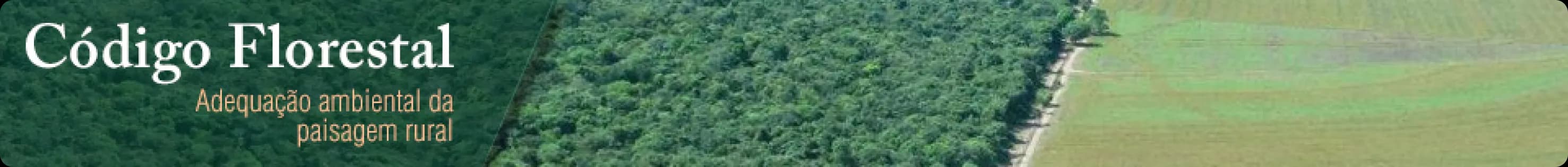 Imagem de fundo do código florestal da Embrapa